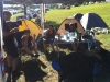 k-img_0713