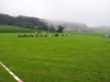 k-20120721_192734