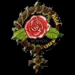 Wild Roses